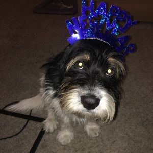 Meet your Posher, Allison